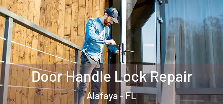  Door Handle Lock Repair Alafaya - FL