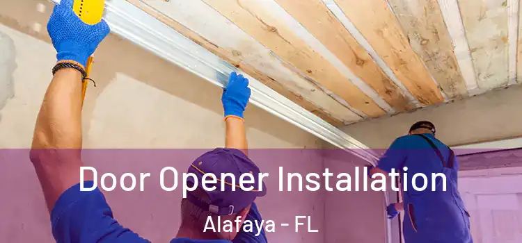  Door Opener Installation Alafaya - FL