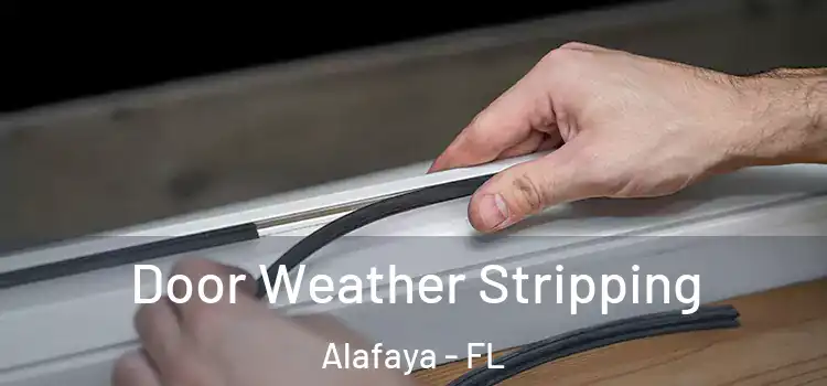  Door Weather Stripping Alafaya - FL