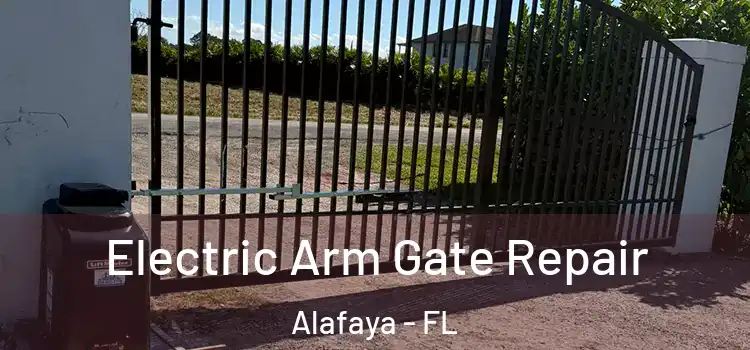  Electric Arm Gate Repair Alafaya - FL