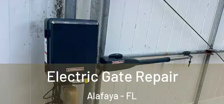 Electric Gate Repair Alafaya - FL