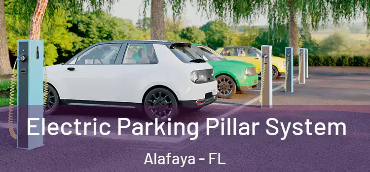 Electric Parking Pillar System Alafaya - FL