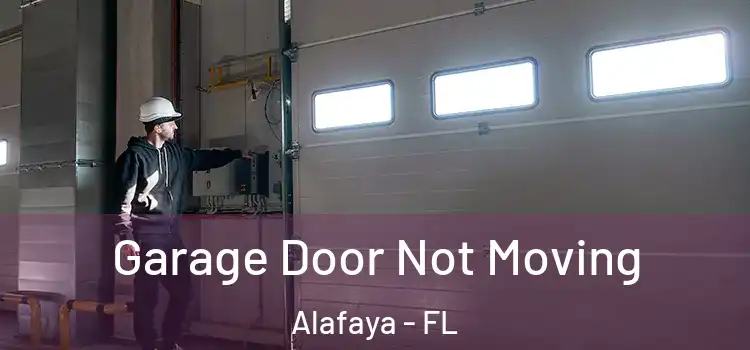  Garage Door Not Moving Alafaya - FL