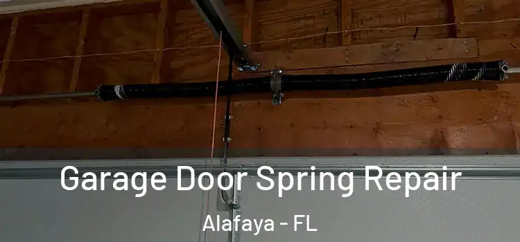  Garage Door Spring Repair Alafaya - FL
