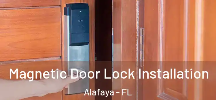  Magnetic Door Lock Installation Alafaya - FL
