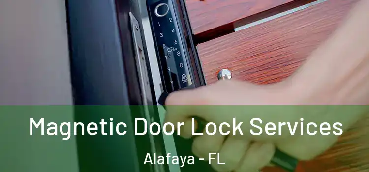 Magnetic Door Lock Services Alafaya - FL