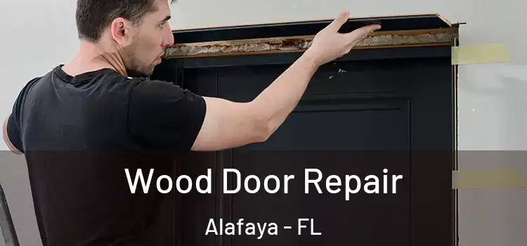  Wood Door Repair Alafaya - FL